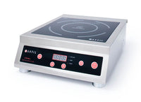 Anvil Induction Cooker